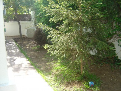 normal_DSC03526.JPG