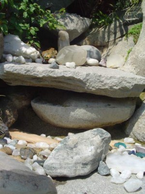 normal_Dsc03828.jpg