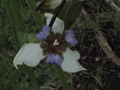 normal_DSC04145.JPG