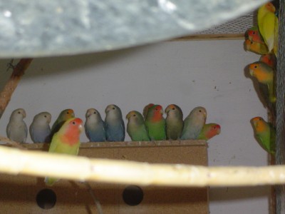 normal_DSC05326.JPG