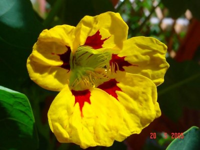 normal_DSC08406s%7E0.JPG