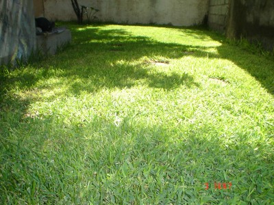 normal_DSC08894.JPG
