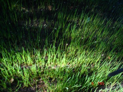 normal_DSC08907.JPG