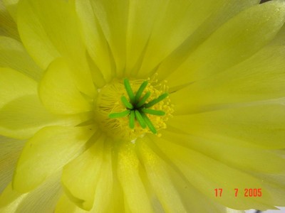 normal_DSC09789s.JPG