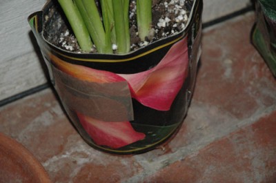 normal_DSC_0204-web.jpg