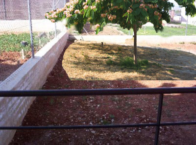 normal_Esquina%2520para%2520el%2520arbol.jpg