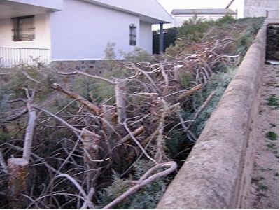 normal_estropicio.jpg