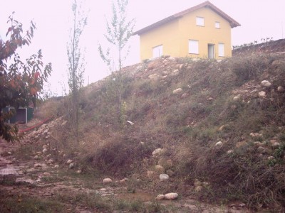 normal_finca3%20022.jpg