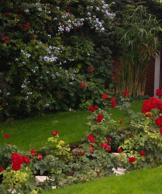 normal_Flores%20012%7E0.jpg