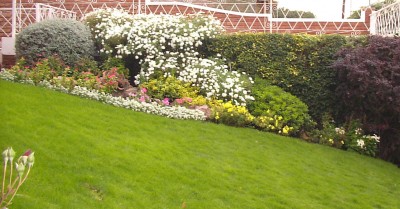 normal_Flores%20024.jpg