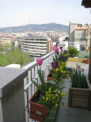 normal_fotos%20terraza%20047.jpg