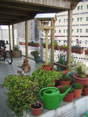 normal_fotos%20terraza%20050.jpg