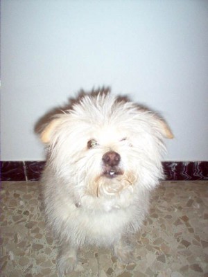 normal_fotos%20varios%20019.jpg