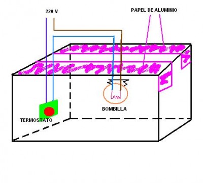 normal_germinador%20amb%20bombilla%20electrica.jpg