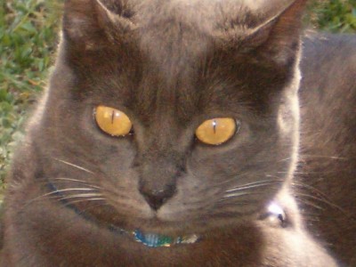 normal_Hpim0082.jpg