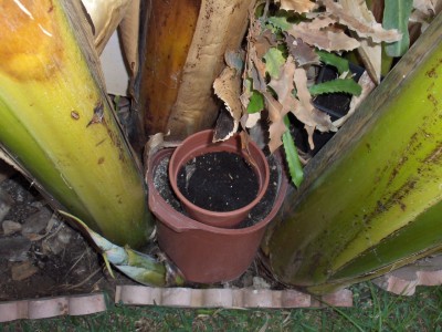 normal_HPIM0275.JPG