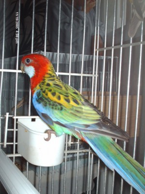 normal_HPIM0700.jpg