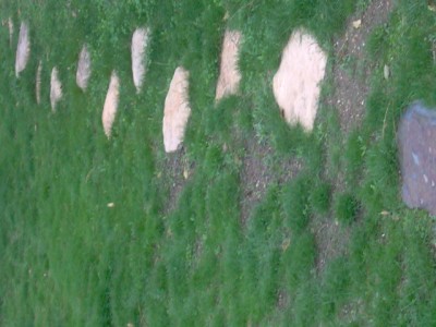normal_IM000285.JPG