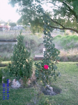 normal_IMAG0009~5.JPG