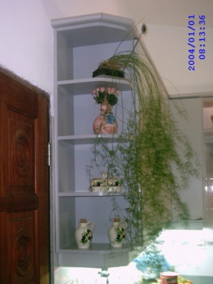 normal_IMAG0010.jpg