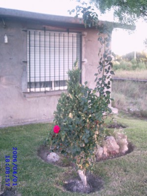 normal_IMAG0016.JPG