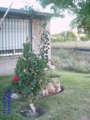 normal_IMAG0017~0.JPG