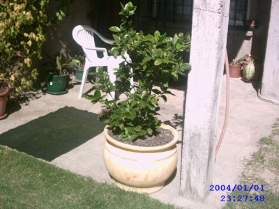 normal_IMAG0055.JPG