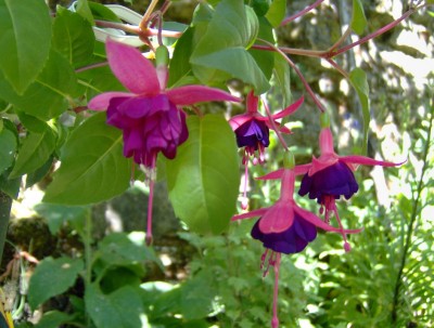 normal_Image00001%7E20.jpg