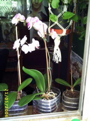 normal_Image00007%7E6.jpg