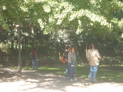 normal_Image00041.jpg