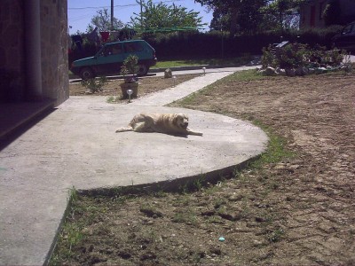 normal_Imagen%20003.1.JPG