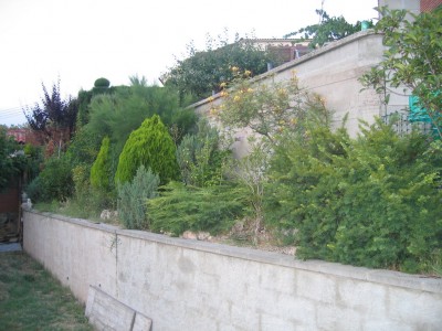 normal_Imagen%20017a.jpg