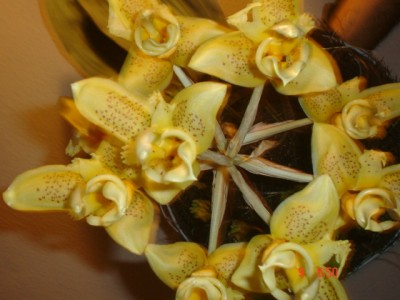 normal_Imagen%20024%7E0.jpg