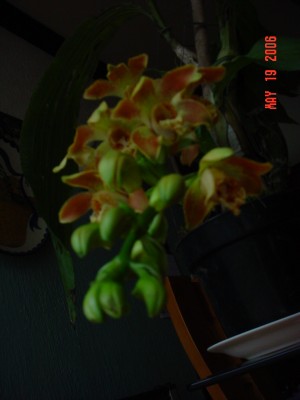 normal_Imagen%20027%7E4.jpg