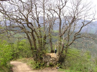 normal_Imagen%20039.jpg