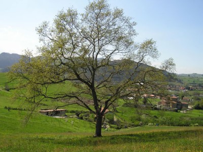 normal_Imagen%20050.jpg