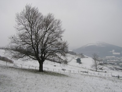 normal_Imagen%20067%7E0.jpg
