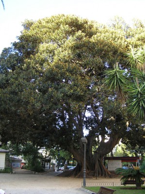normal_Imagen%20078.jpg