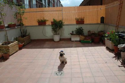 normal_Imagen%201.jpg