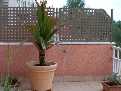 normal_Imagen%20220.jpg