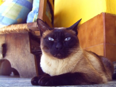 normal_Imagen%203005.jpg