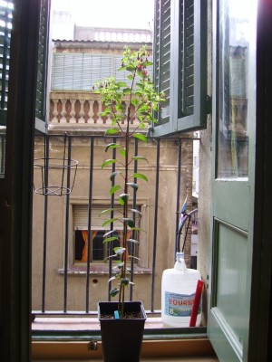 normal_Imagen%20390155.jpg