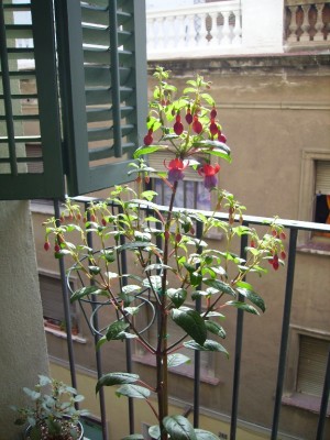 normal_Imagen%20390157.jpg