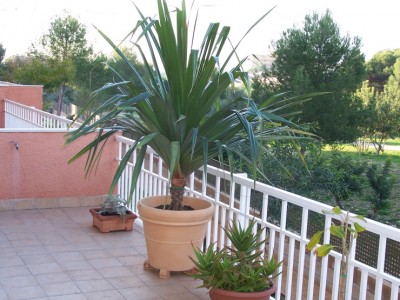 normal_Imagen%20479.jpg