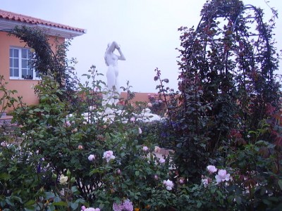 normal_Imagen%20616%7E0.jpg