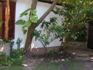 normal_Imagen%20778.jpg