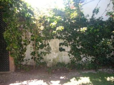 normal_Imagen%20782.jpg