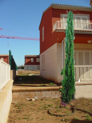 normal_Imagen%2520002_p.jpg