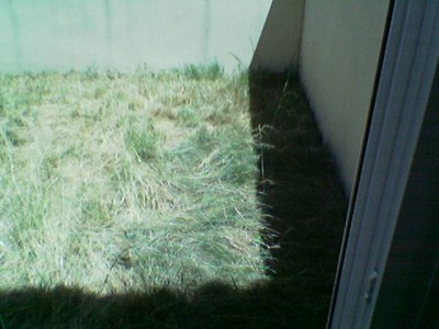 normal_Imagen%28192%29%7E0.jpg