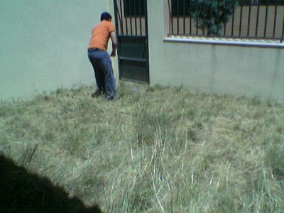 normal_Imagen%28193%29.jpg